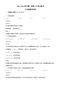 29，江苏省苏州市苏州工业园区苏州工业园区星港学校2023-2024学年九年级下学期3月月考数学试题