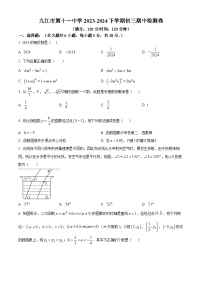 江西省九江市第十一中学2023-2024学年九年级下学期期中数学试题（原卷版+解析版）