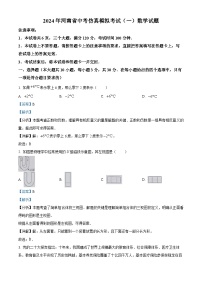 06，2024学年河南省周口市项城市九年级下学期第一次质量监测数学模拟试题