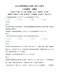 18，云南省文山壮族苗族自治州文山市2023-2024学年九年级下学期3月月考数学试题