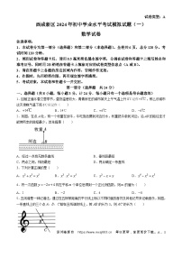 93，2024年陕西省西安市西咸新区中考一模数学试题