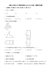 95，2024年安徽省马鞍山第七中学中考一模数学试题