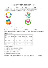 100，广东省茂名市信宜市2023-2024学年八年级下学期月考数学试题