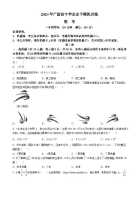 246，2024年广西壮族自治区钦州市灵山县部分学校九年级一模数学模拟试题(无答案)