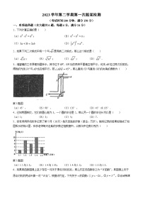 250，上海市曹杨第二中学附属学校2023-2024学年九年级下学期月考数学试题(无答案)