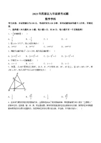 252，2023年甘肃省陇南市武都区九年级一模联考数学模拟试题(无答案)