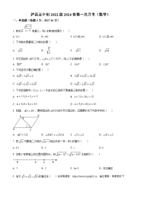 263，四川省泸州市泸县泸县第五中学2023-2024学年八年级下学期4月月考数学试题