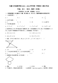 275，新疆维吾尔自治区乌鲁木齐市乌鲁木齐新潮学校2023-2024学年九年级上学期期末数学试题(无答案)