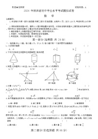 336，2024年陕西省西安市周至县部分学校九年级中考一模考试数学试题