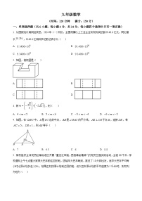 2024年山东省潍坊市高密市中考一模数学试题（原卷版+解析版）