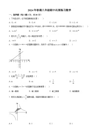 河南省南阳市南召县2023-2024学年八年级下学期期中数学试题（原卷版+解析版）