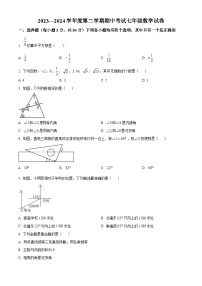 河南省商丘市夏邑县2023-2024学年七年级下学期期中数学试题（原卷版+解析版）