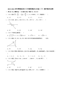 青海省西宁八中教育集团2023-2024学年七年级下学期期中考试数学试卷