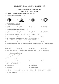 湖南省郴州市桂阳县蒙泉学校2023-2024学年八年级下学期期中数学试题（原卷版+解析版）