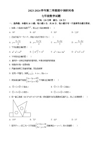 山东省聊城市临清市2023-2024学年七年级下学期期中考试数学试题（原卷版+解析版）