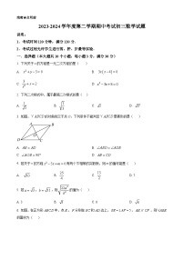 山东省烟台市招远市（五四制）2023-2024学年八年级下学期期中考试数学试题（原卷版+解析版）