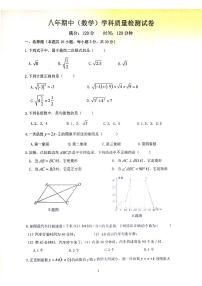 辽宁省营口市鲅鱼圈区实验中学2023-2024学年八年级下学期5月期中考试数学试题