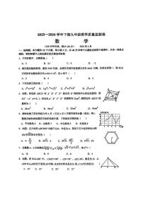 2024年四川省眉山市青神县中考模拟数学试题