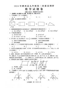 2024年安徽省合肥市肥西县九年级中考二模数学试题