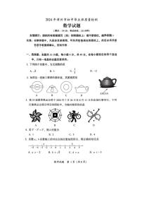 2024年福建省漳州市中考二模数学试题