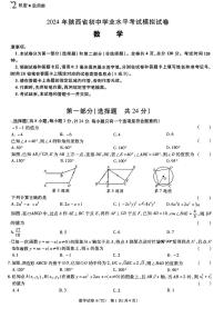 2024陕西省渭南市大荔县九年级下学期中考模拟数学真题（无答案）