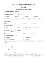 北京市清华大学附属中学望京学校2023-2024学年七年级下学期期中数学试题（原卷版+解析版）