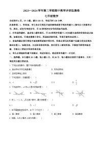 广东省东莞市弘正学校2023-2024学年七年级下学期期中数学试题（原卷版+解析版）