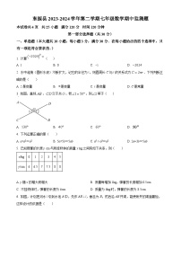 广东省河源市东源县2023-2024学年七年级下学期期中数学试题（原卷版+解析版）