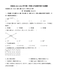 广东省河源市东源县2023-2024学年七年级下学期期中数学试题（原卷版+解析版）