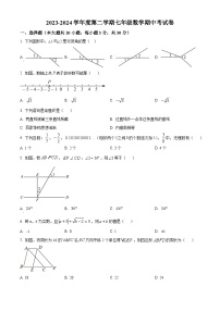 广东省湛江市雷州市第八中学2023-2024学年八年级下学期期中数学试题（原卷版+解析版）