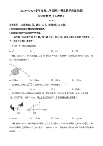 河北省廊坊市霸州市2023-2024学年八年级下学期期中数学试题（原卷版+解析版）