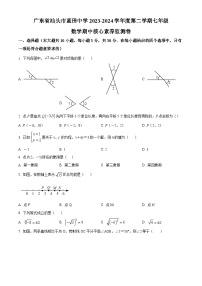 广东省汕头市蓝田中学2023-2024学年七年级下学期期中数学试题（原卷版+解析版）