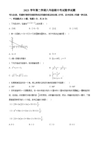 上海市嘉定区迎园中学2023-2024学年八年级下学期期中数学试题（原卷版+解析版）