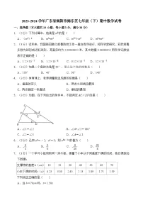 2023-2024学年广东省揭阳市揭东区七年级（下）期中数学试卷（含解析）