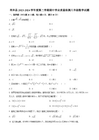 安徽省亳州市利辛县利辛中学2023-2024学年八年级下学期期中数学试题（原卷版+解析版）