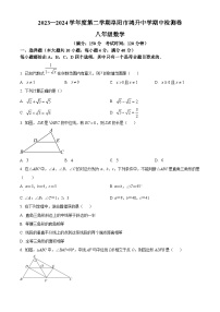 安徽省阜阳市颍州区鸿升初级中学2023-2024学年八年级下学期期中数学试题（原卷版+解析版）