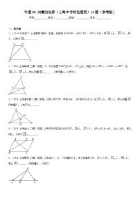 2024年上海市16区中考二模数学分类汇编 专题06 向量的运算（上海中考特色题型）14题（练习版）(1)