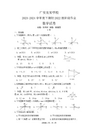 四川省广安市广安区广安友实学校2023-2024学年八年级下学期期中考试数学试题