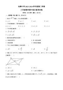 广东省汕头市金平区汕樟中学2023-2024学年八年级下学期期中数学试题（原卷版+解析版）