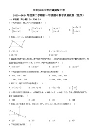 河北省石家庄河北师范大学附属实验中学2023-2024学年七年级下学期期中数学试题（原卷版+解析版）