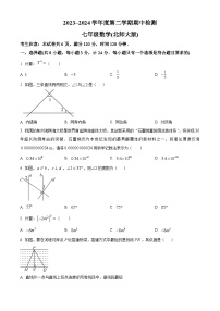 陕西省渭南市高新区2023-2024学年七年级下学期期中数学试题（原卷版+解析版）