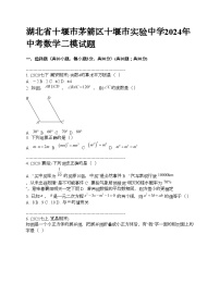 湖北省十堰市茅箭区十堰市实验中学2024年中考数学二模试题