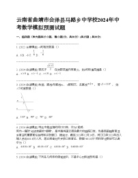 云南省曲靖市会泽县马路乡中学校2024年中考数学模拟预测试题