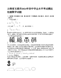 云南省玉溪市2024年初中学业水平考试模拟检测数学试题