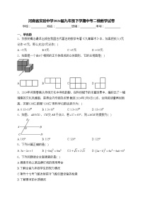 河南省实验中学2024届九年级下学期中考二模数学试卷(含答案)