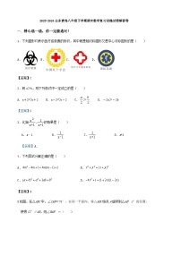 2023-2024山东青岛八年级下学期期末数学复习训练试卷解答卷