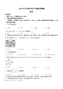 2024年广东省湛江市廉江市中考二模数学试题