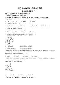 2024年江西省吉安市中考模拟数学试题