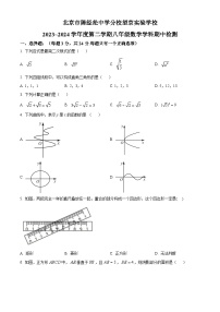 北京市陈经纶中学分校望京实验学校2023-2024学年八年级下学期期中数学试题（原卷版+解析版）