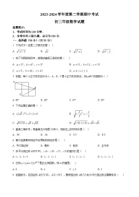 黑龙江省绥化市望奎县2023-2024学年八年级下学期期中数学试题（原卷版+解析版）